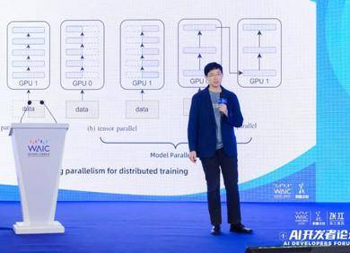 WAIC 2023 | 新加坡国立大学尤洋教授 ：AI大模型的挑战与系统优化