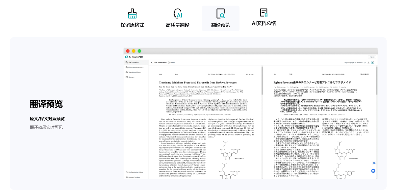 AI TransPDF：AI智能PDF文档翻译工具