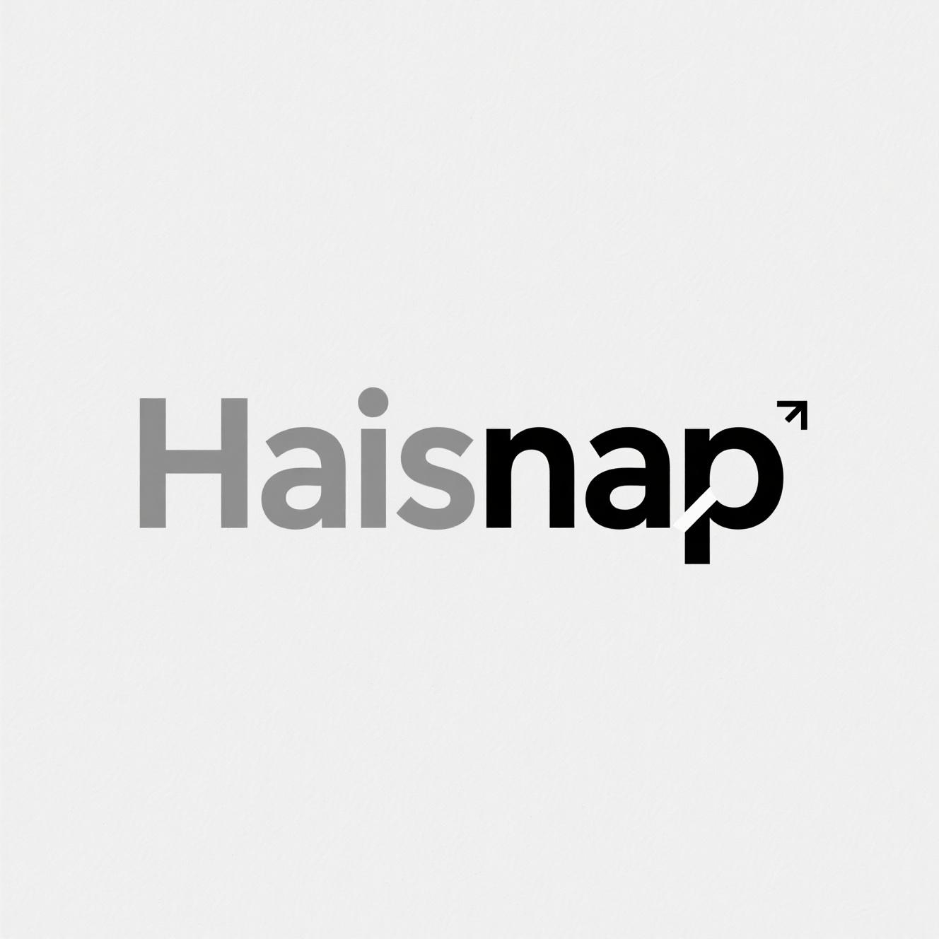 Haisnap：无代码AI应用开发平台