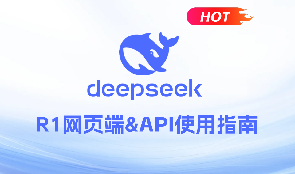 最新DeepSeek-R1网页端 &API使用指南！看这里！