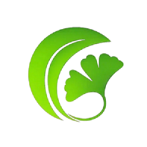 白果AI论文：学术写作的智能平台