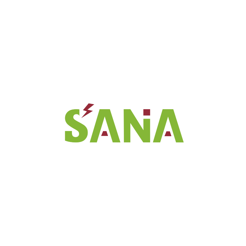 Sana：英伟达开源高效图像生成模型