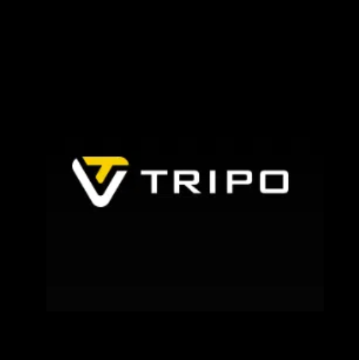 Tripo-3D生成AI软件神器