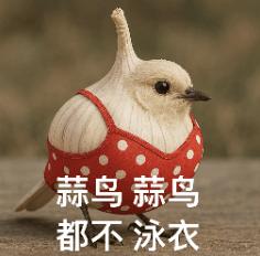 蒜鸟