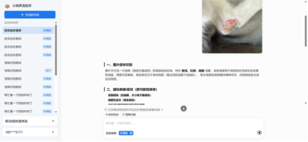 好兽医