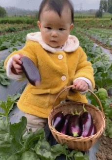 小孩拿着茄子，AI图片