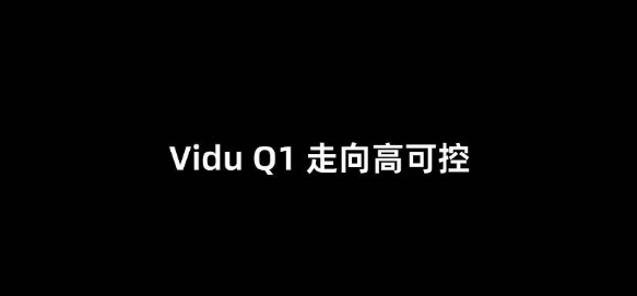 VIDU