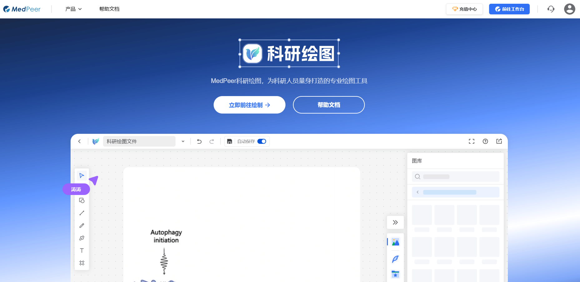 MedPeer科研绘图 