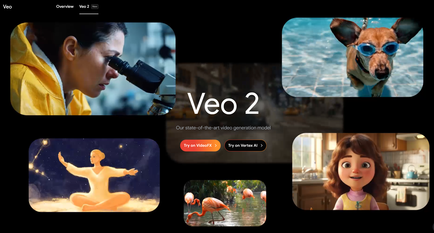 veo2