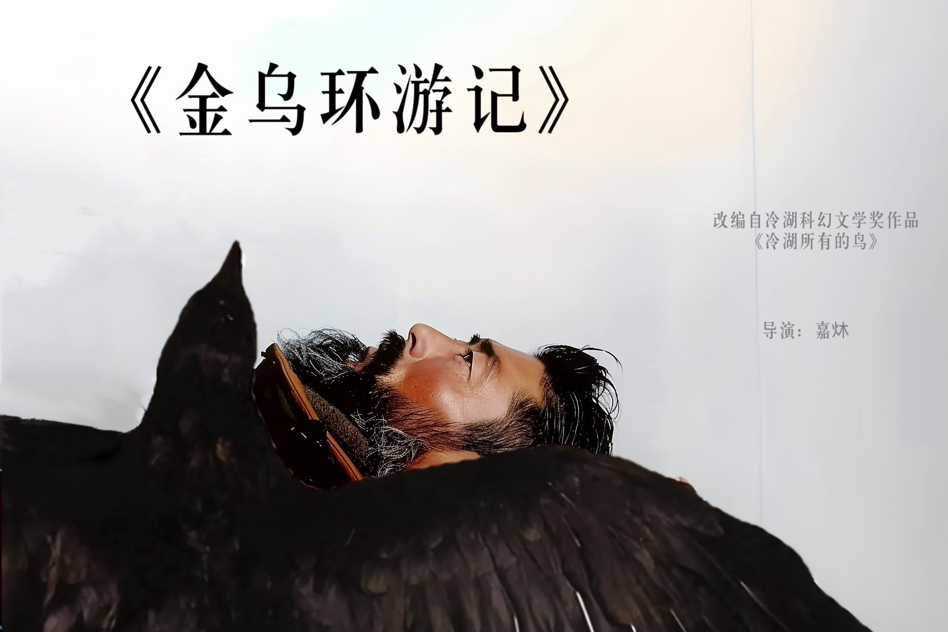 金乌环游记