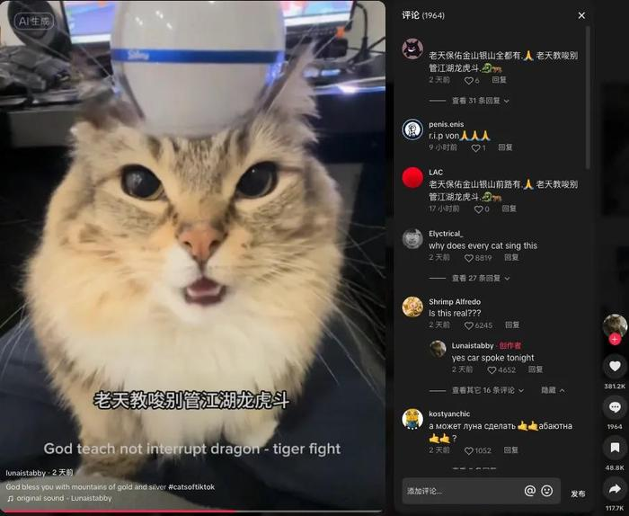 TikTok新潮流：猫猫中文说唱引爆海外