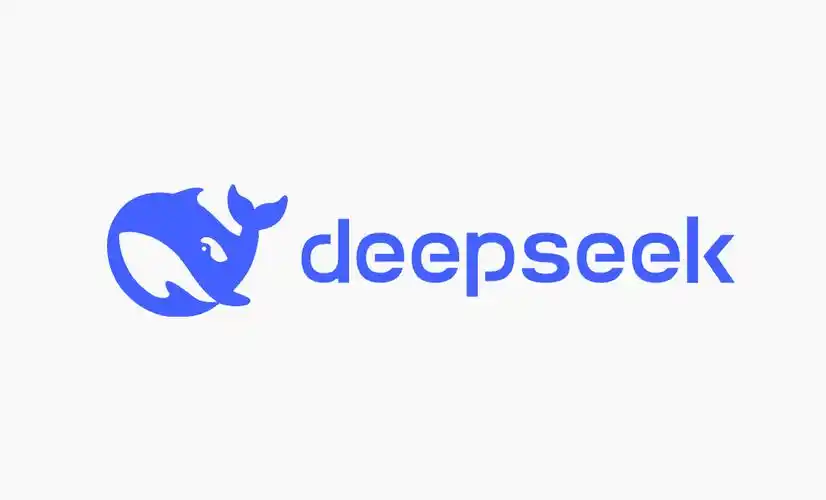 DeepSeek App