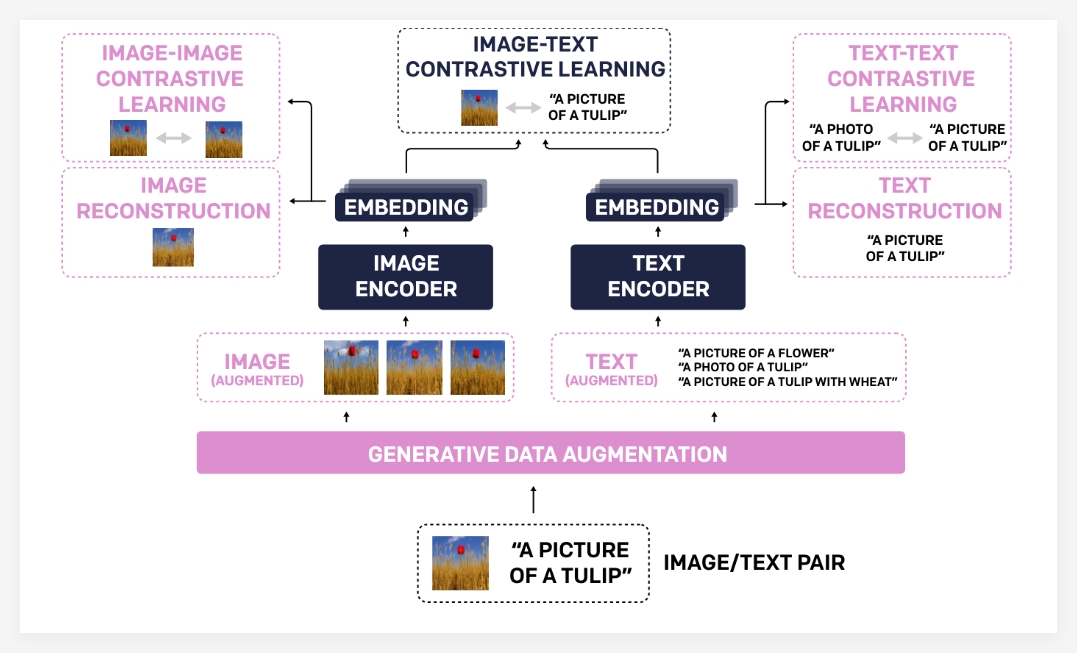 伯克利TULIP模型