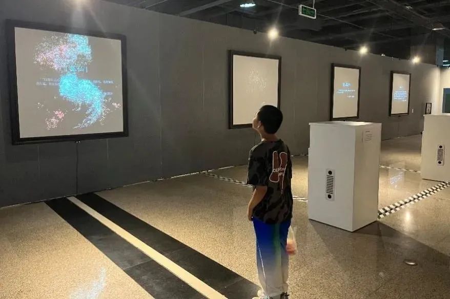 影视展览