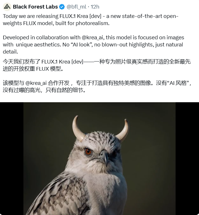 告别“AI塑料感”！FLUX.1-Krea[dev]开源模型上线，让AI生成图像“以假乱真”