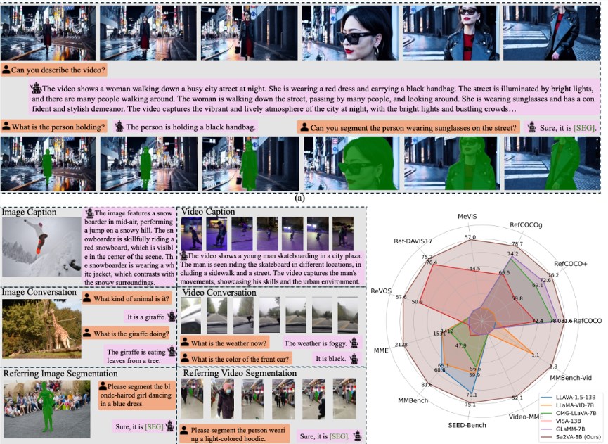 字节跳动Sa2VA模型