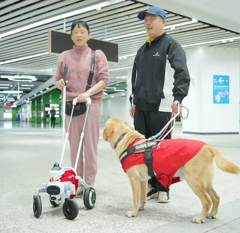 深圳地铁试点AI智能导盲犬 