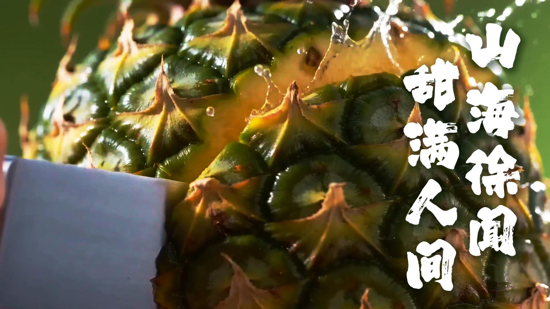 山海徐闻，甜满人间