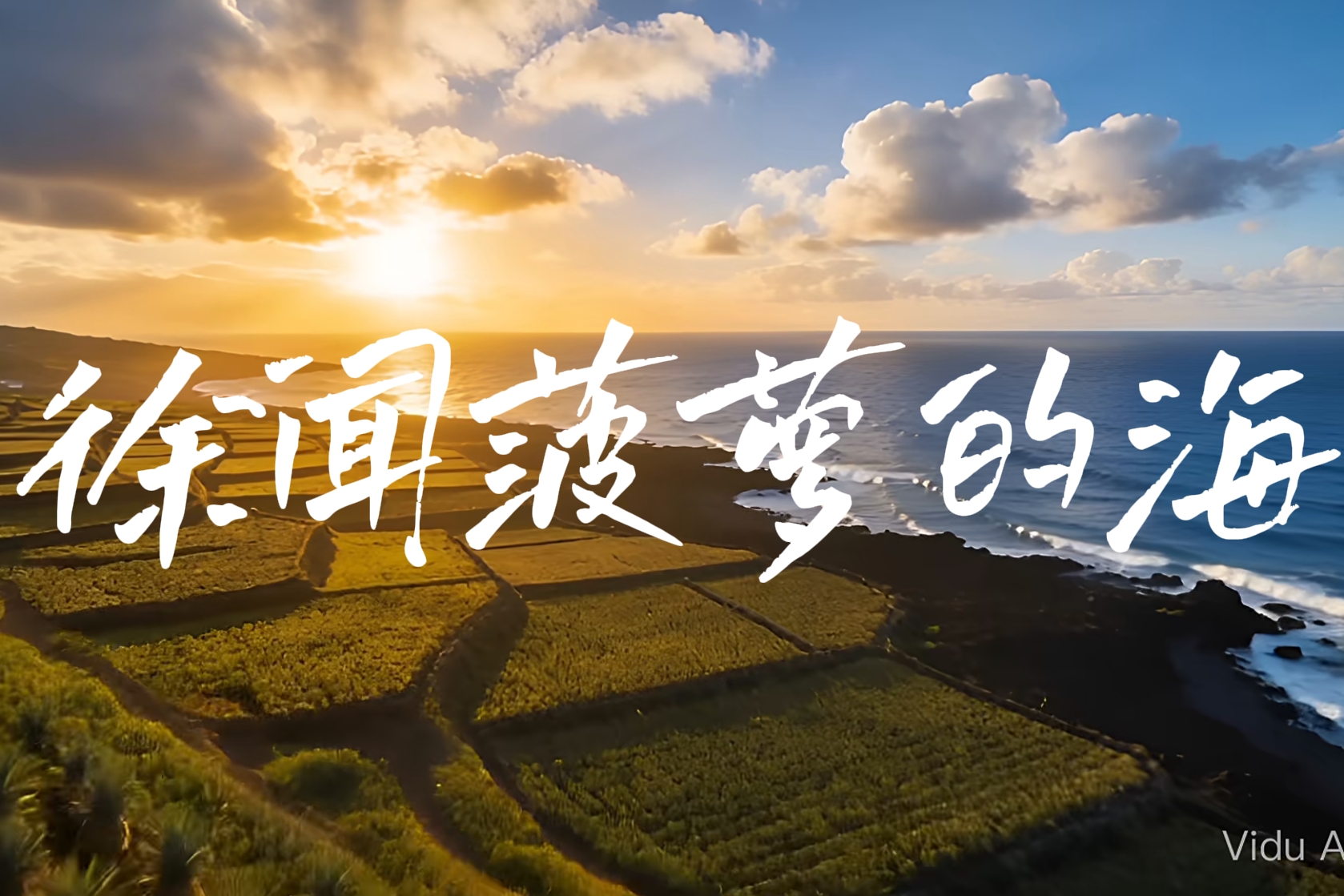 一世纪 一颗菠萝