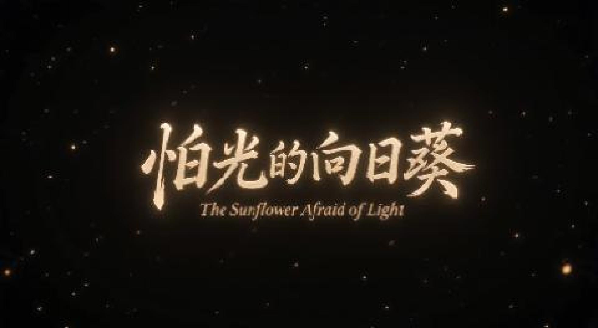 《怕光的向日葵》