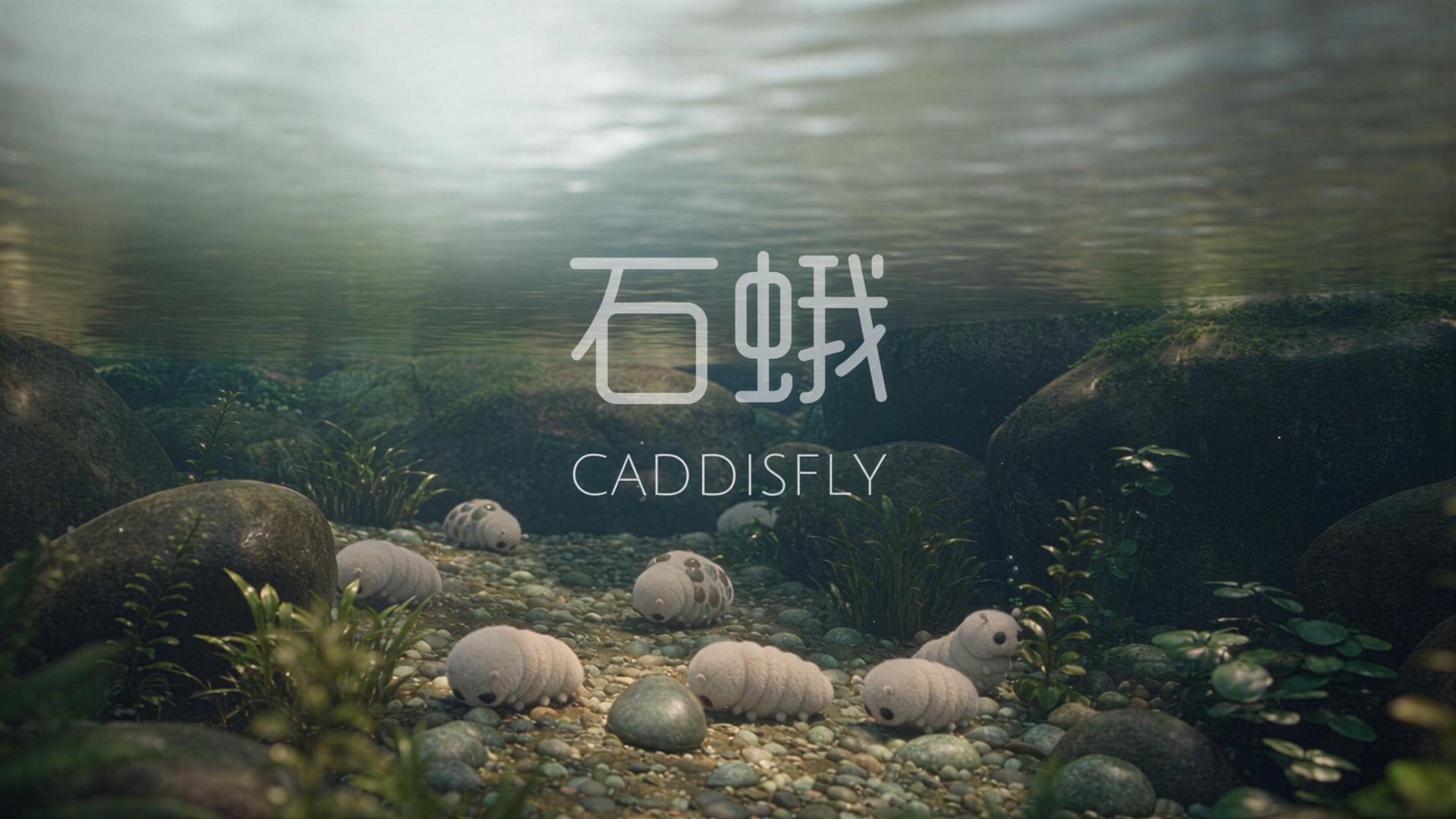 《石蛾》