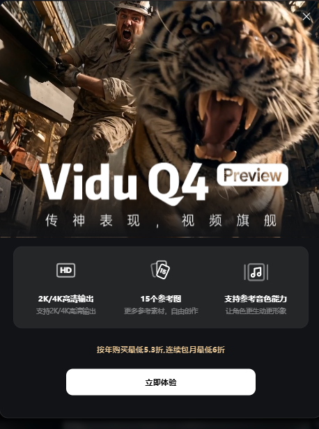 Vidu Q4 Preview